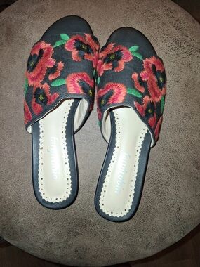 Farylrobin Black Slip-On Mules with Red Floral Embroidery